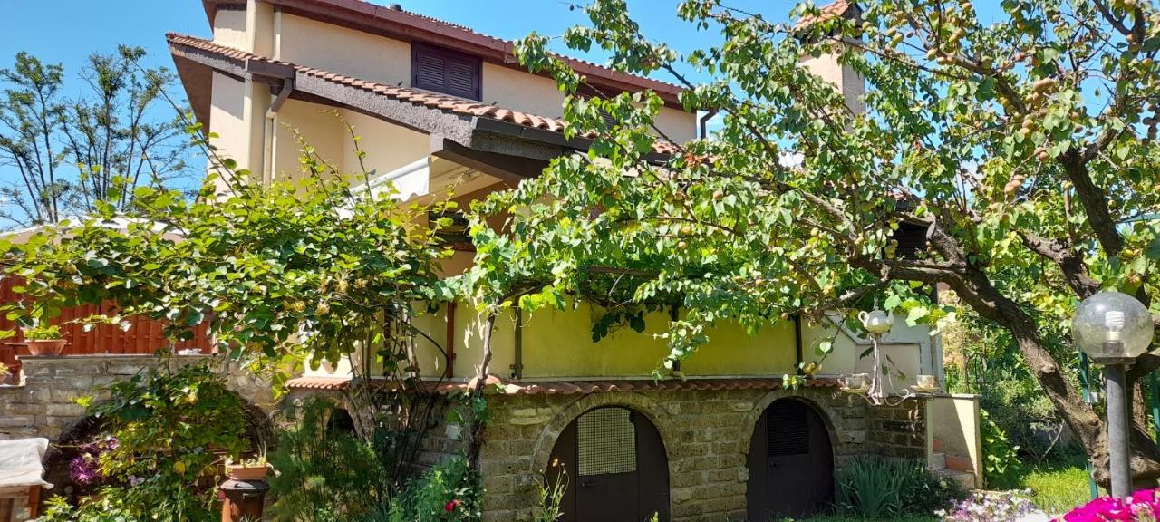 Hotel Il Glicine à Sutri Extérieur photo